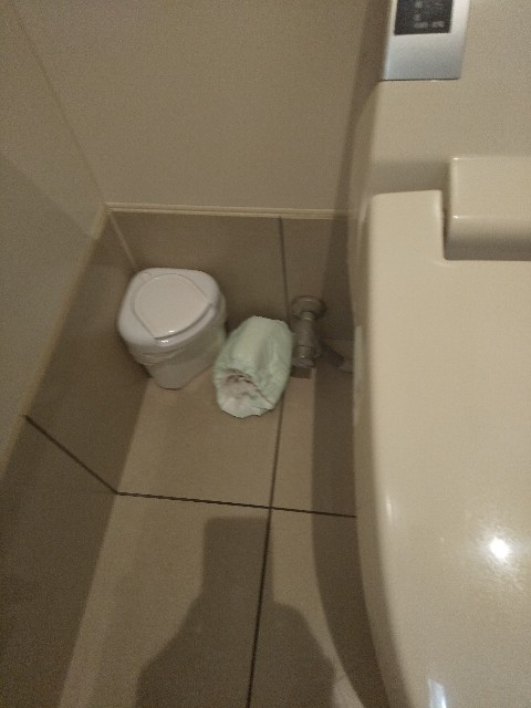 f:id:famima217:20200523174727j:image