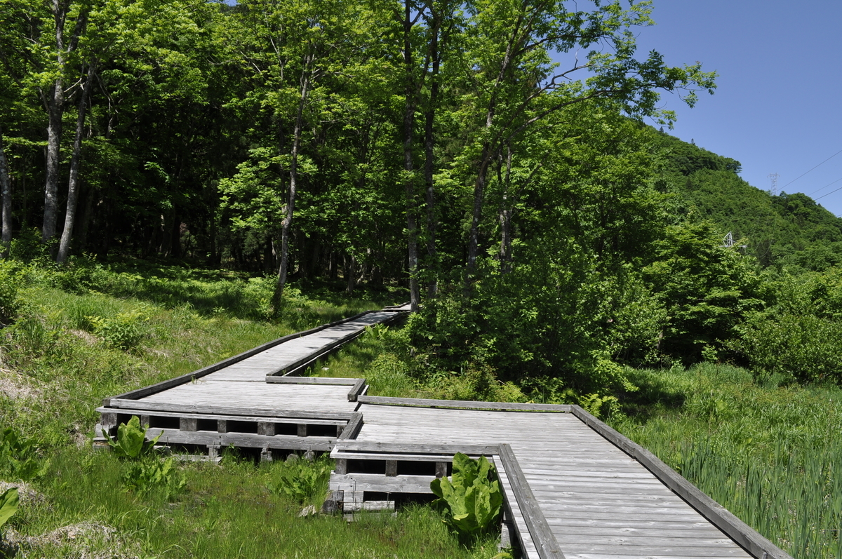 f:id:famima217:20200529125004j:plain