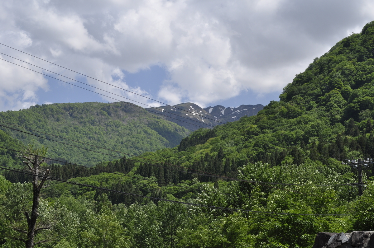 f:id:famima217:20200529125335j:plain