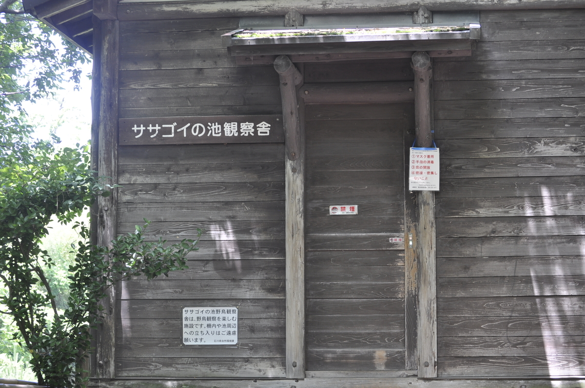 f:id:famima217:20200629155244j:plain