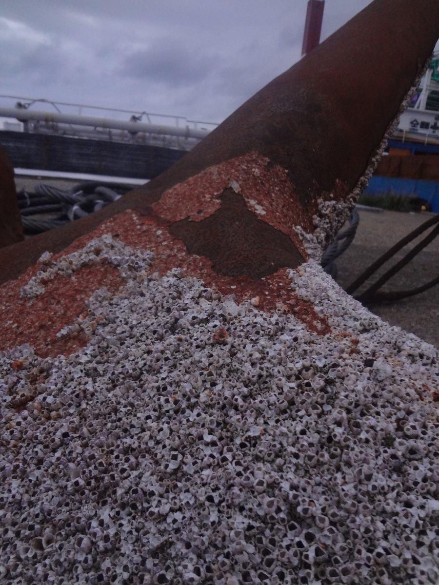 f:id:famima217:20200715125252j:plain