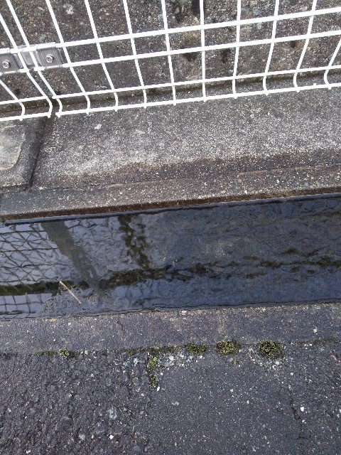 f:id:famima217:20200817230742j:image