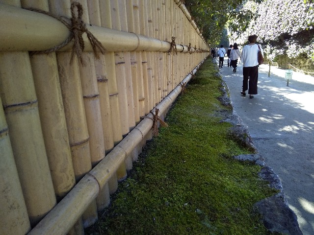 f:id:famima217:20201121163005j:image f:id:famima217:20201121163005j:image