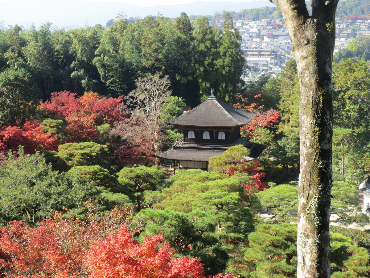 f:id:famima217:20201220145519j:plain