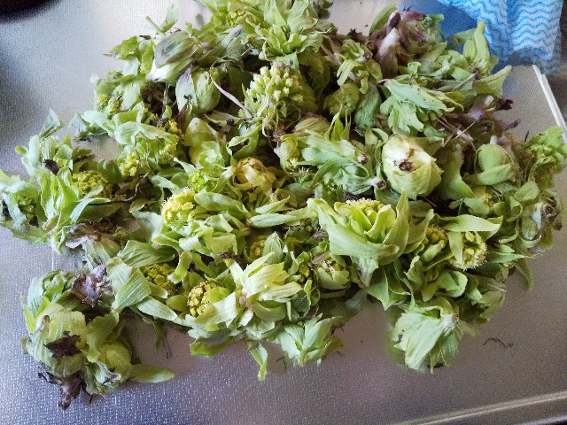 f:id:famima217:20210325142629j:image f:id:famima217:20210325142629j:image