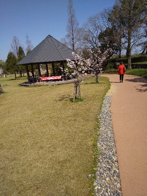 f:id:famima217:20210401090918j:image