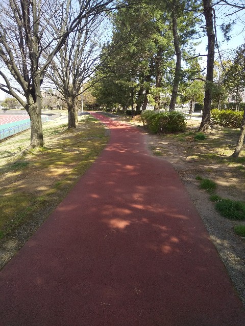 f:id:famima217:20210401090937j:image