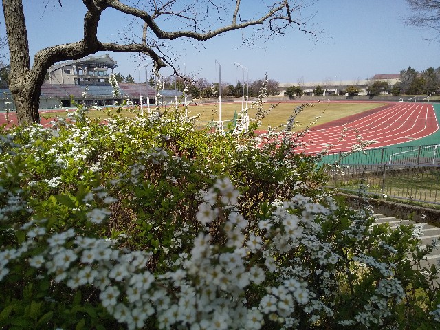 f:id:famima217:20210401091020j:image