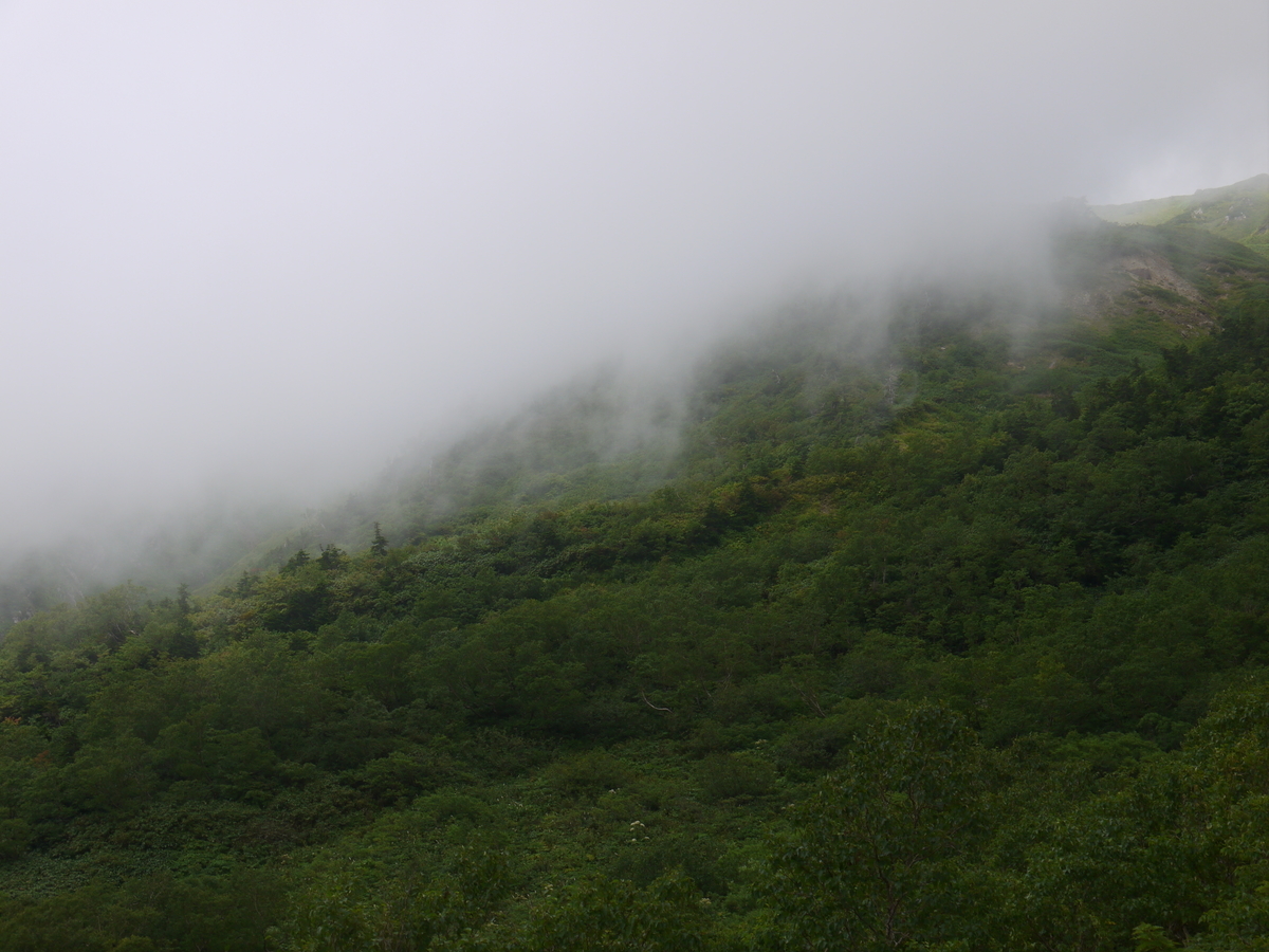 f:id:famima217:20210827214318j:plain