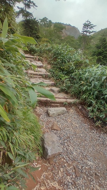 f:id:famima217:20210827233230j:image