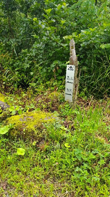 f:id:famima217:20210827233317j:image