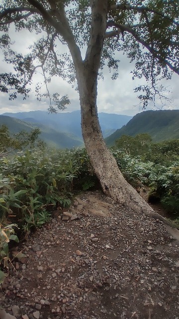 f:id:famima217:20210827233632j:image