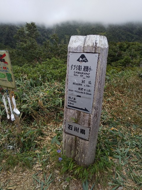 f:id:famima217:20210906180440j:image
