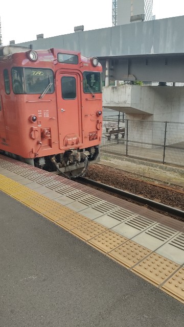 f:id:famima217:20211111153147j:image