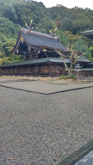 f:id:famima217:20211112113748j:image
