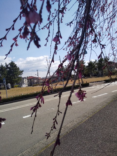 f:id:famima217:20220401143458j:image