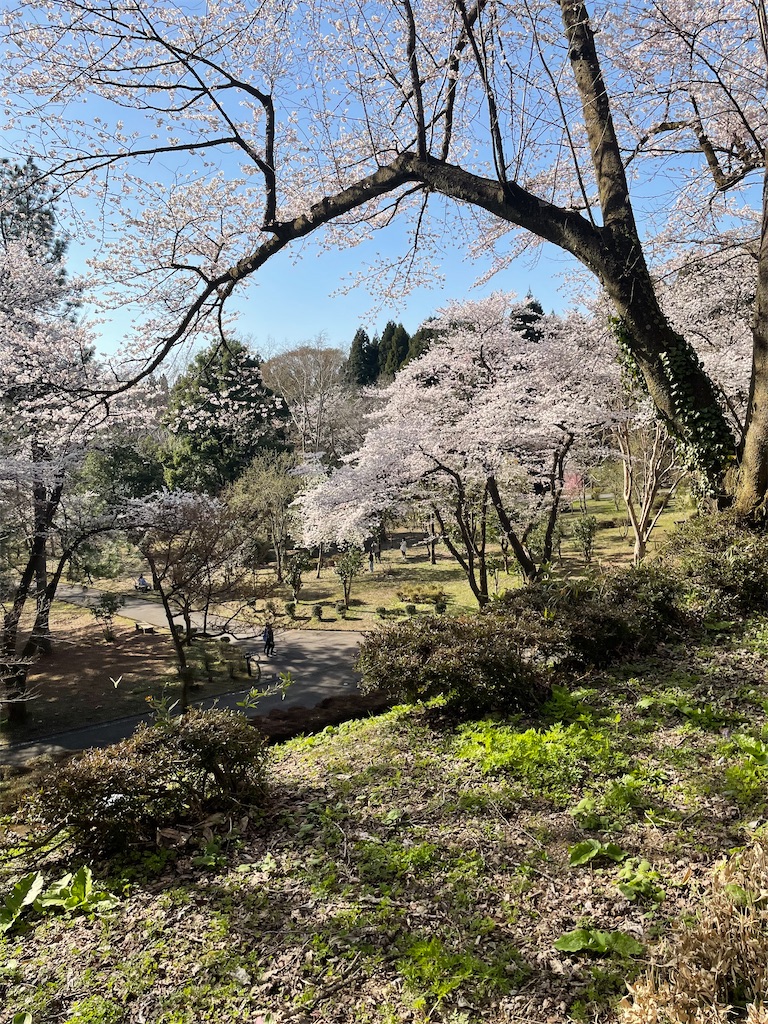 f:id:famima217:20220409220948j:image