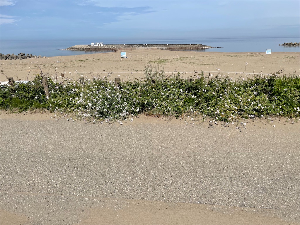 f:id:famima217:20220512211605j:image