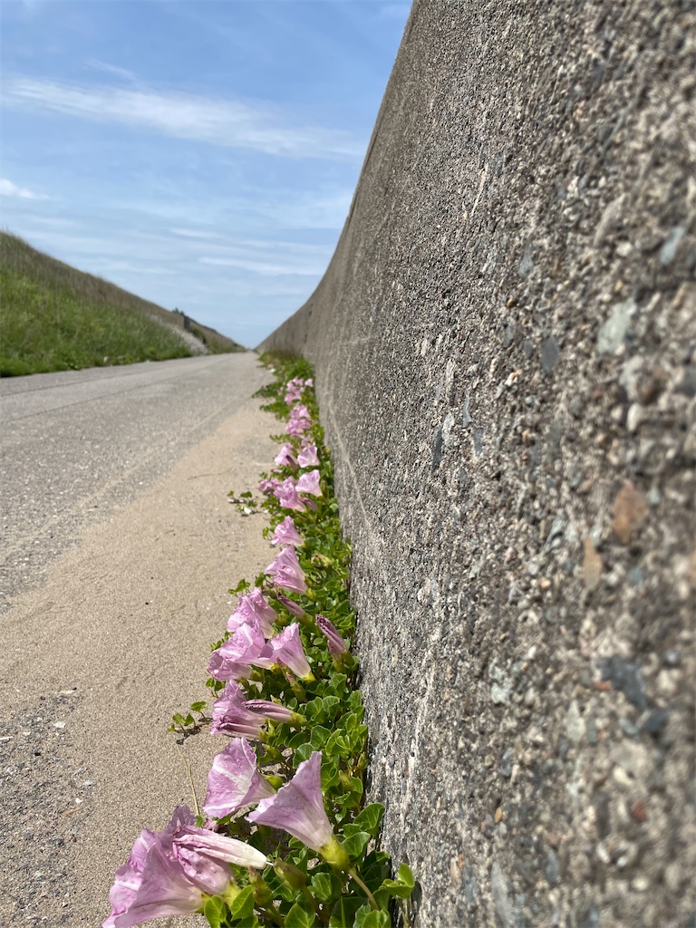 f:id:famima217:20220512211610j:image