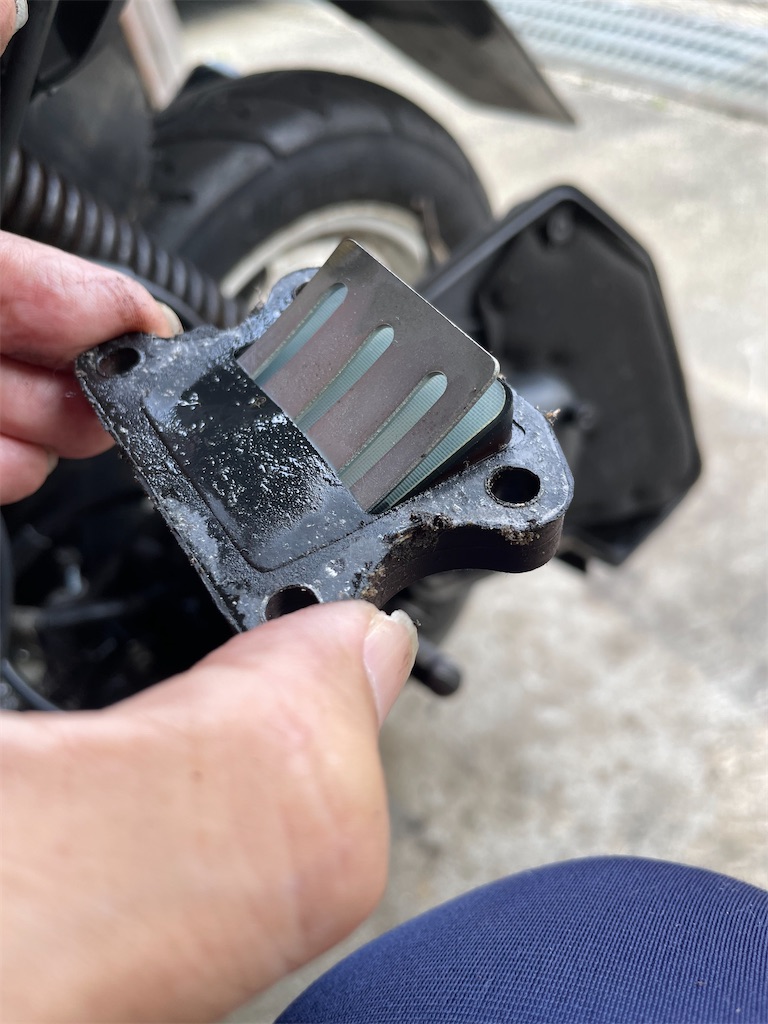 f:id:famima217:20220921082507j:image f:id:famima217:20220921082507j:image