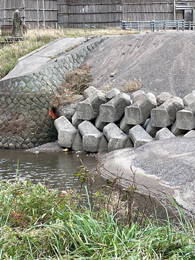 f:id:famima217:20221017200207j:image