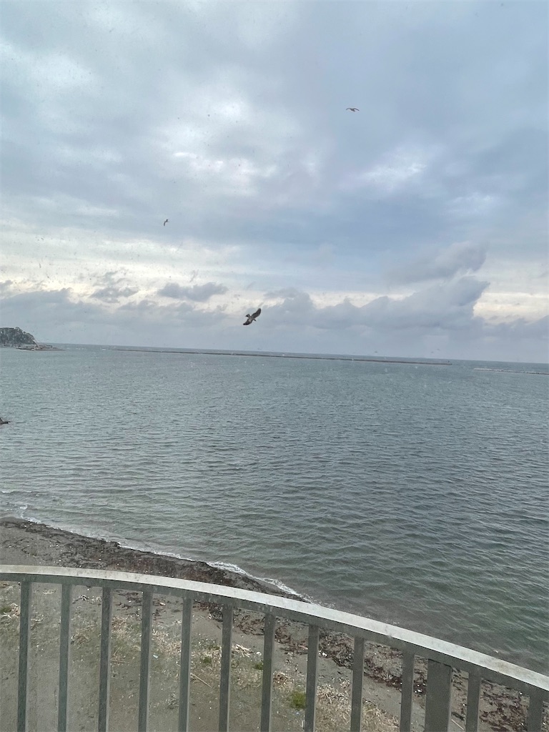 f:id:famima217:20221017200214j:image