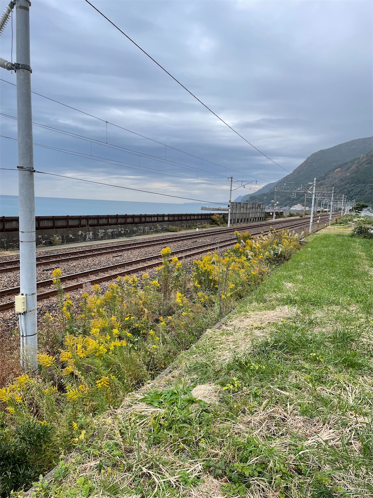 f:id:famima217:20221102200532j:image f:id:famima217:20221102200532j:image