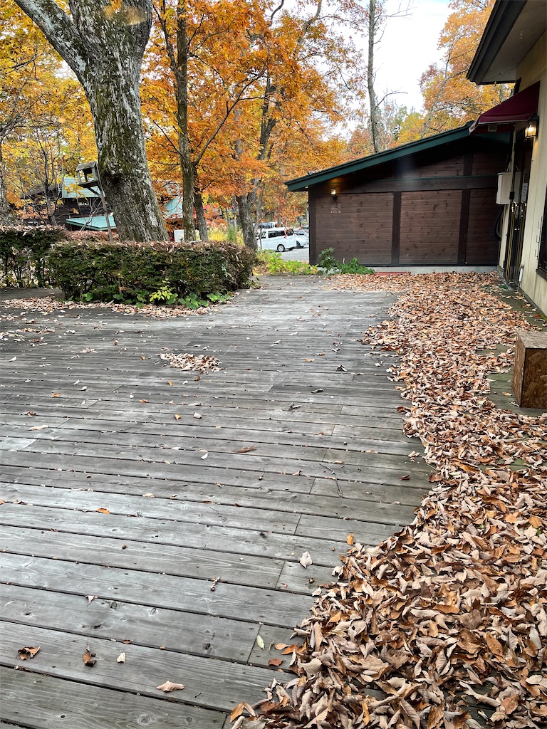 f:id:famima217:20221102200538j:image f:id:famima217:20221102200538j:image