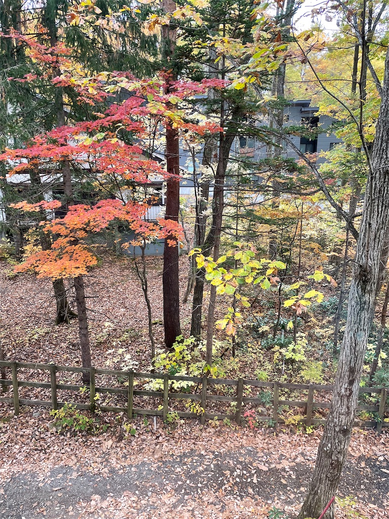 f:id:famima217:20221102200546j:image f:id:famima217:20221102200546j:image