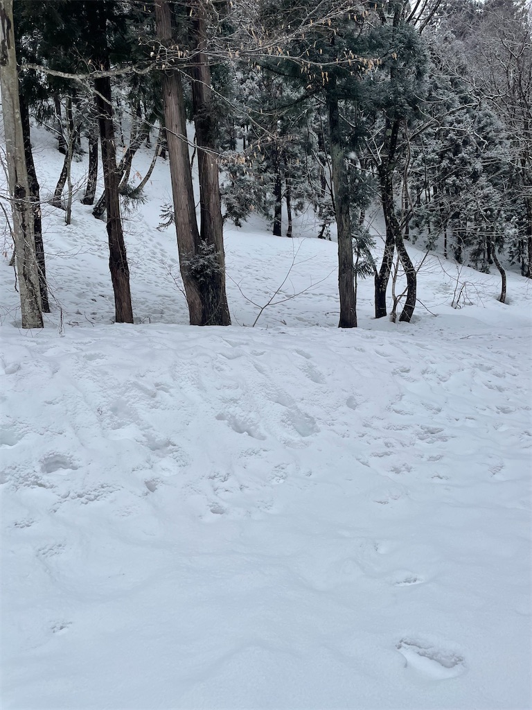f:id:famima217:20230220182130j:image