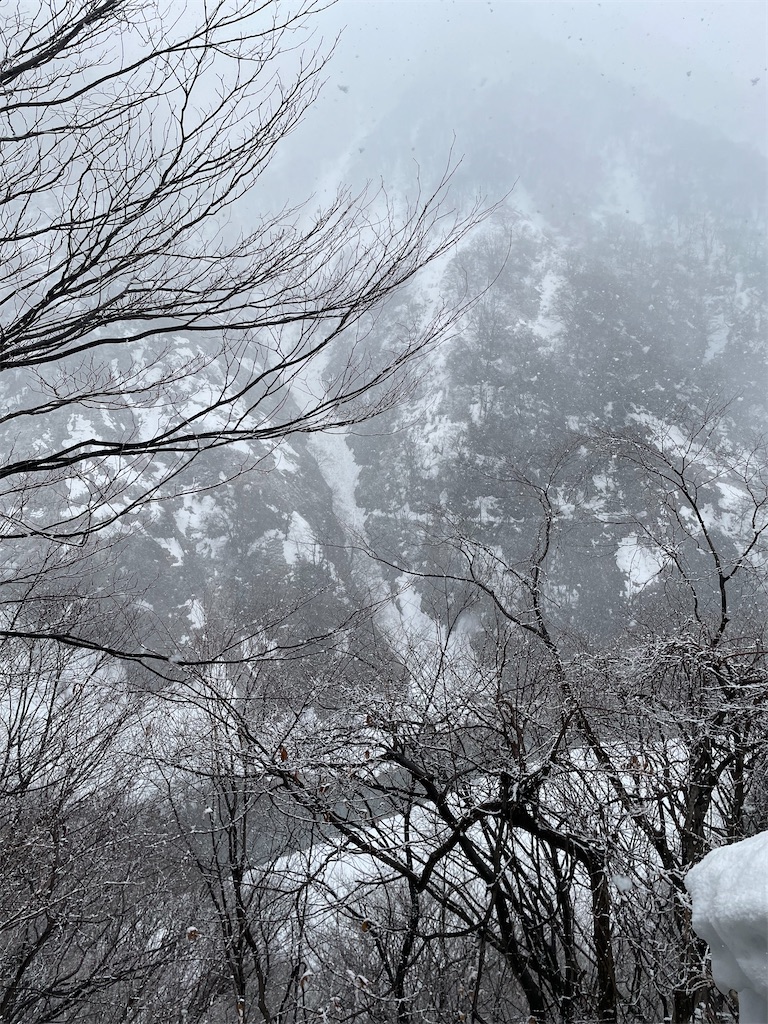 f:id:famima217:20230220182158j:image