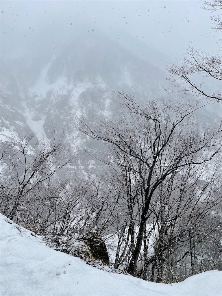 f:id:famima217:20230220182200j:image