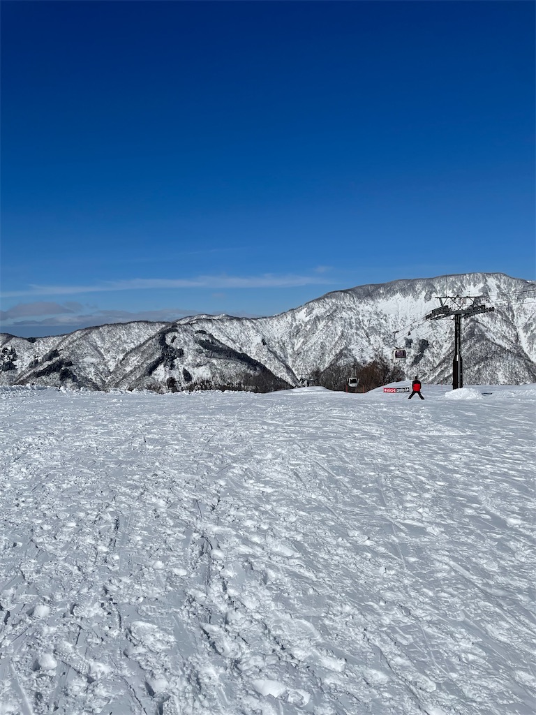 f:id:famima217:20230222191124j:image f:id:famima217:20230222191124j:image