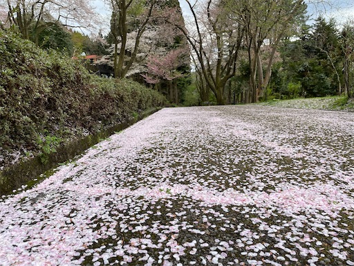 f:id:famima217:20230407154330j:image