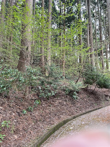 f:id:famima217:20230407154353j:image