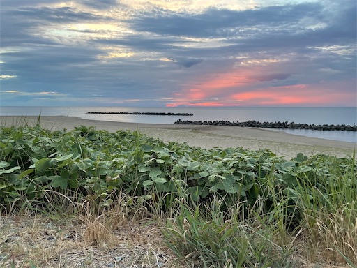 f:id:famima217:20230914203539j:image