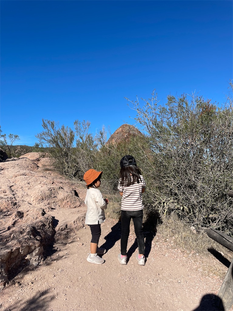 ピナクルズ国立公園 仮 子育てと物欲 From California