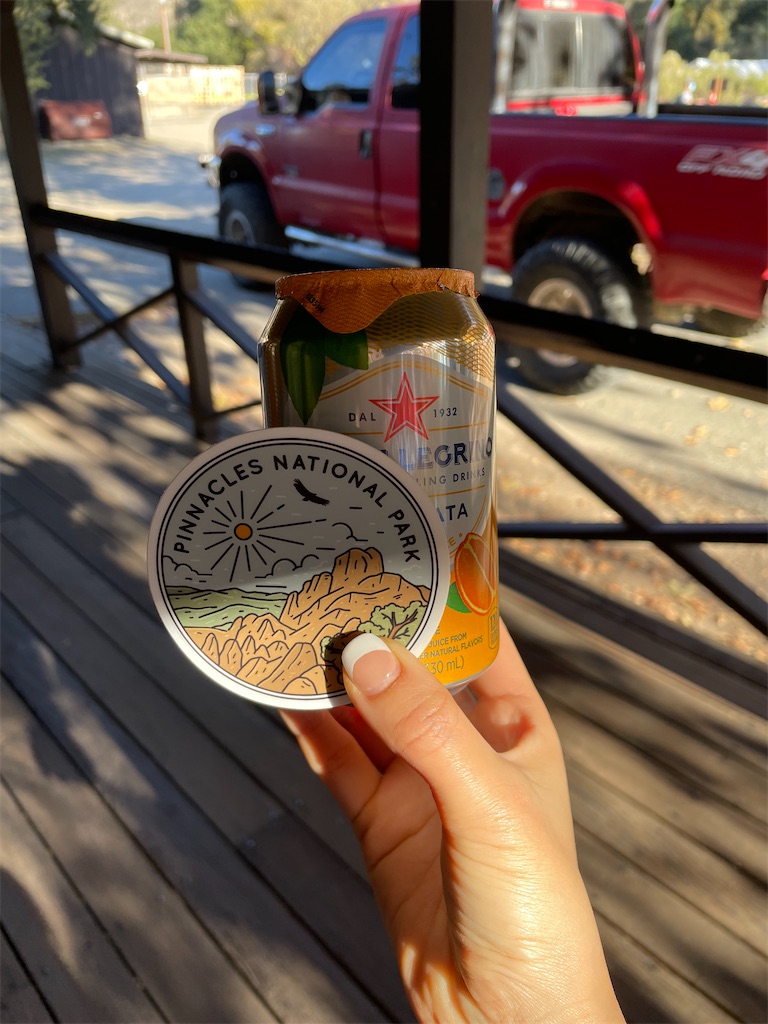 ピナクルズ国立公園 仮 子育てと物欲 From California