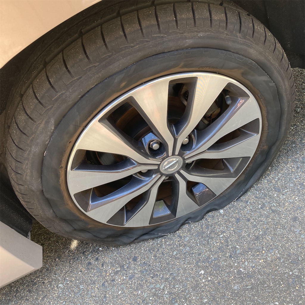 f:id:famo_seca:20200813110248j:image f:id:famo_seca:20200813110248j:image