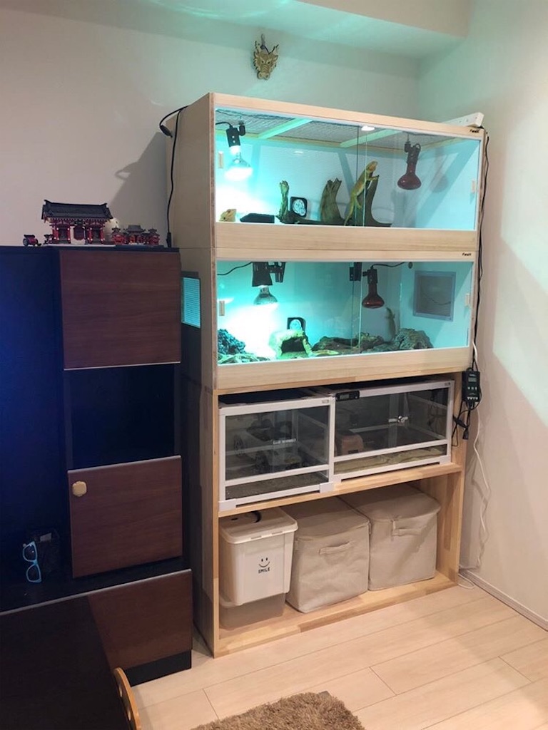 f:id:fandk1017:20200506220904j:image