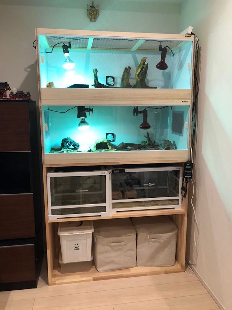 f:id:fandk1017:20200506220910j:image