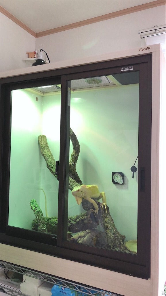 イグアナケージ - F and K 爬虫類・小動物木製ケージ