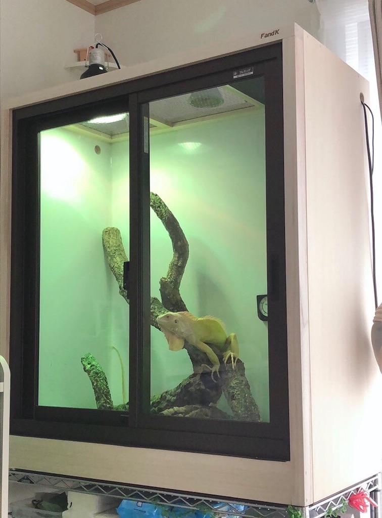 イグアナケージ - F and K 爬虫類・小動物木製ケージ