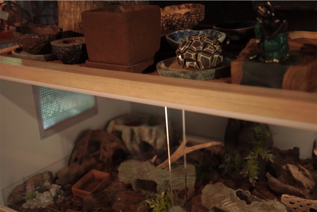 f:id:fandk1017:20210607215219j:image f:id:fandk1017:20210607215219j:image