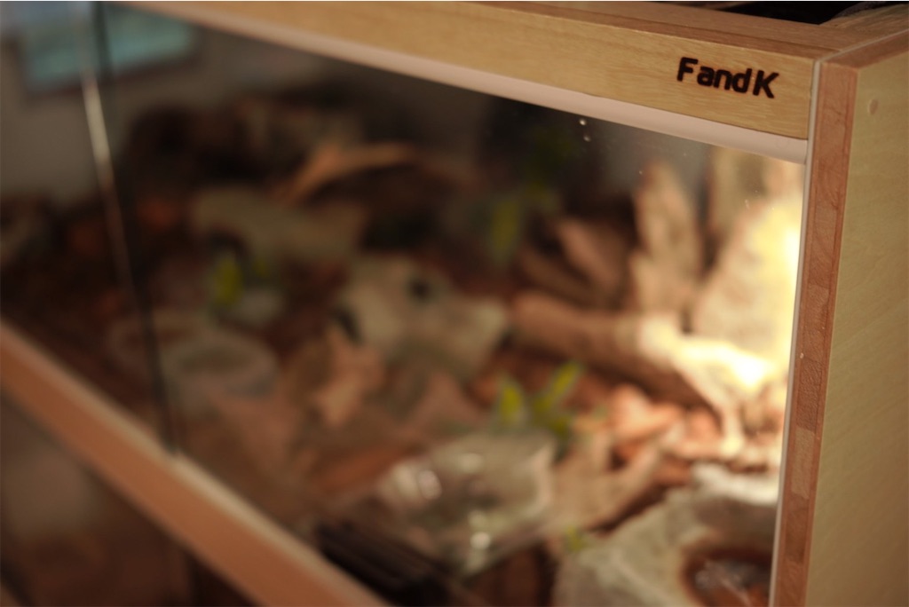 f:id:fandk1017:20210607215223j:image f:id:fandk1017:20210607215223j:image