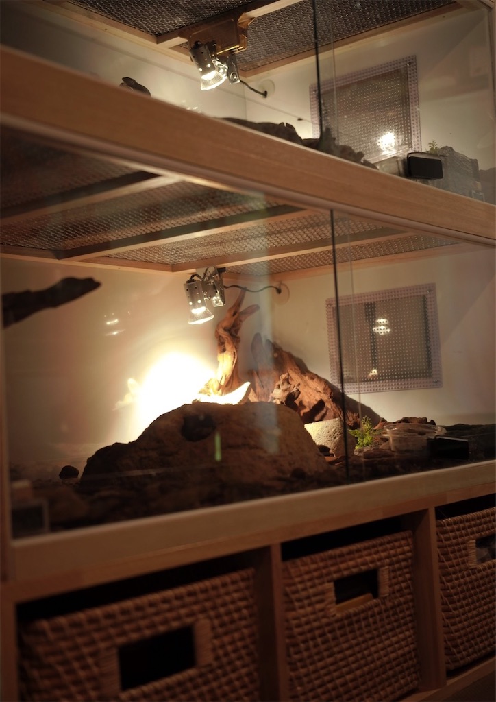 f:id:fandk1017:20210607215414j:image f:id:fandk1017:20210607215414j:image