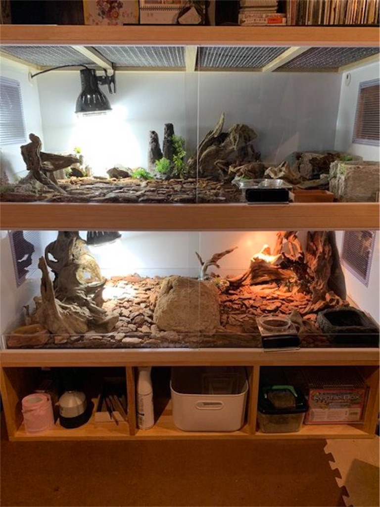 f:id:fandk1017:20210607215454j:image f:id:fandk1017:20210607215454j:image