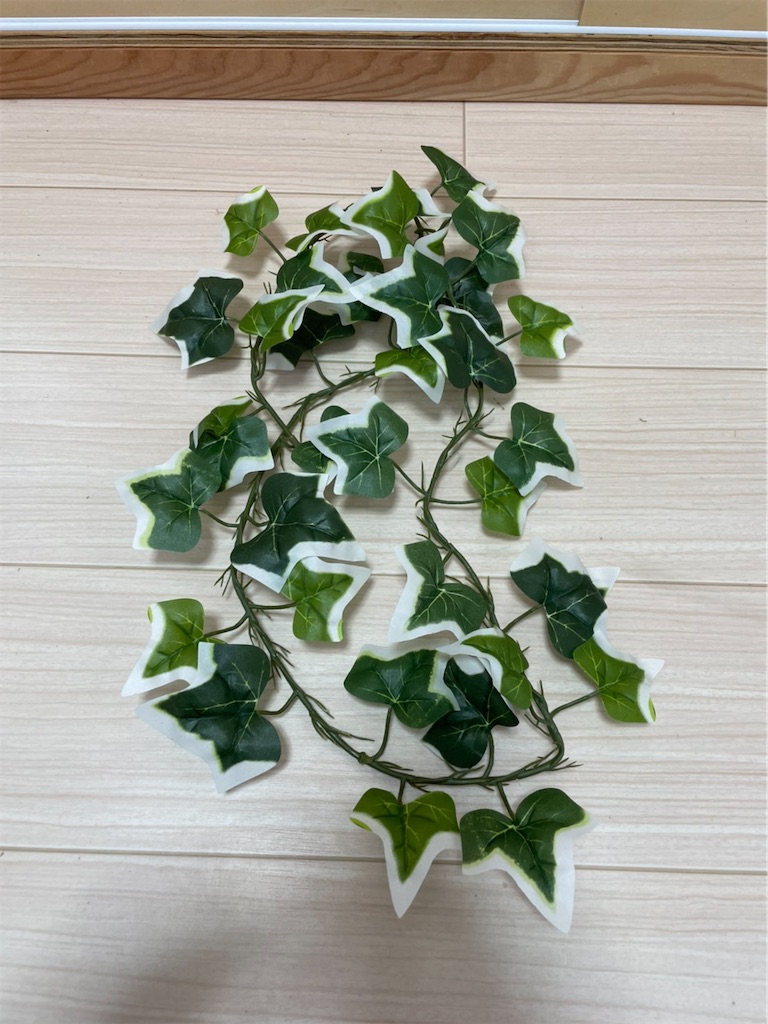 f:id:fandk1017:20210814202134j:image f:id:fandk1017:20210814202134j:image