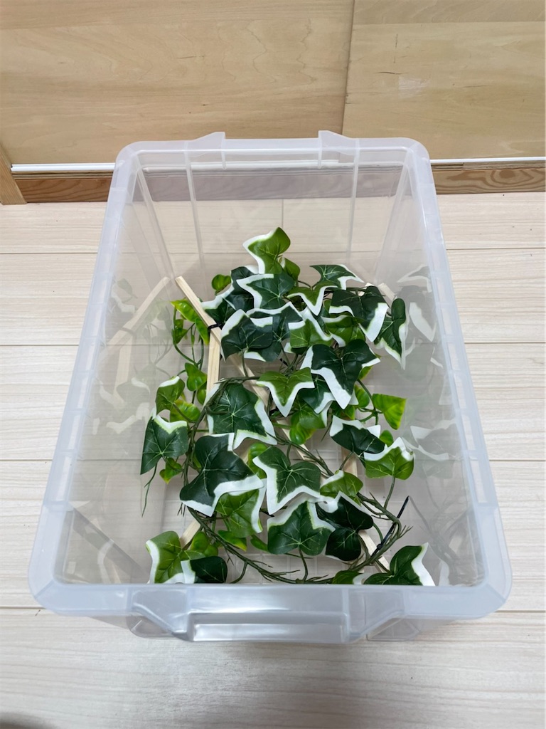 f:id:fandk1017:20210814202227j:image f:id:fandk1017:20210814202227j:image