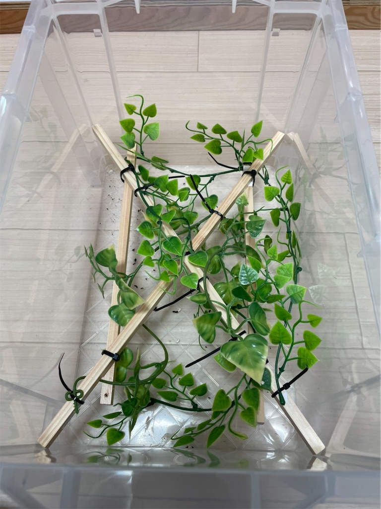 f:id:fandk1017:20210814203034j:image f:id:fandk1017:20210814203034j:image